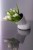 20260226_266_D780.jpg