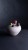 IMG_9984.jpeg