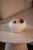 IMG_1845.jpeg