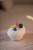 IMG_1847.jpeg